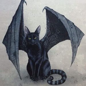 Meet your Posher, Jess